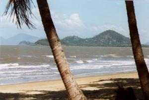 palmcove1.jpg