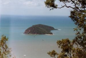 palmcove3.jpg