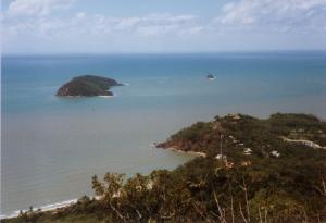 palmcove4.jpg