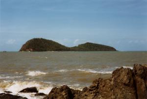 palmcove8.jpg